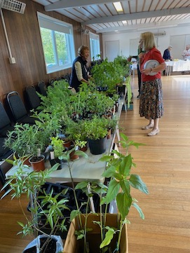 Plant sale